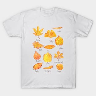 Yellow Autumn leaves collection watercolor T-Shirt